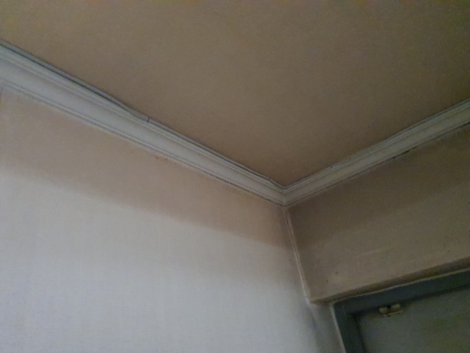 영등포구 당산동 인터넷랜공사 착한가격!!깔끔한 공사!!!!믿고맡겨보세요