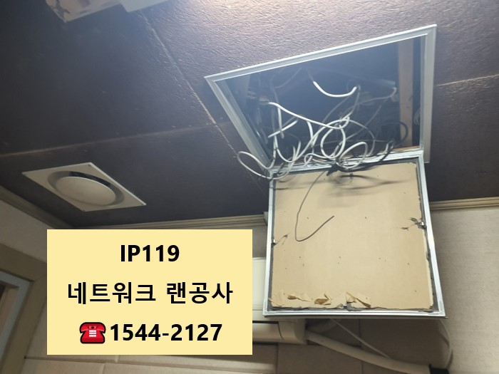 서울 마포구 동교동 점검