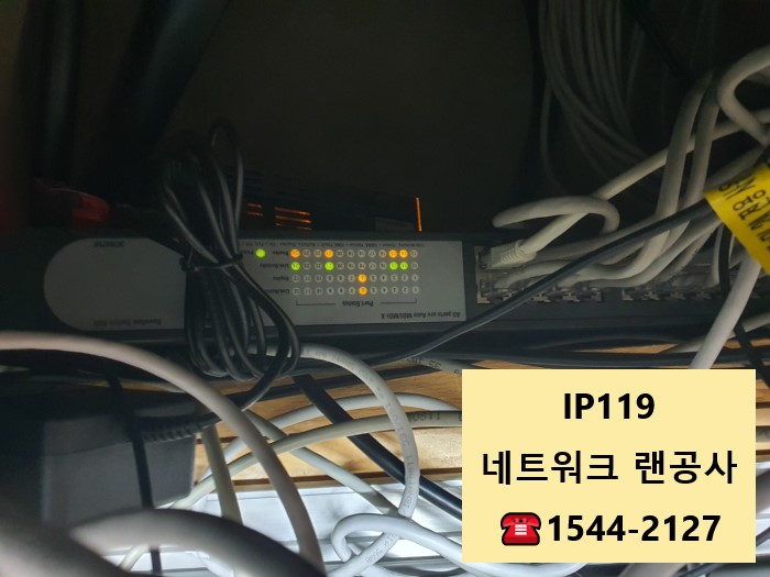 서울 마포구 동교동 점검
