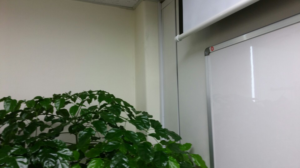 용산 랜선공사/랜선설치/랜선작업