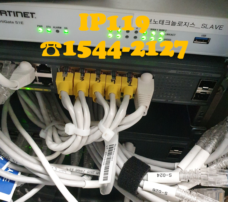 평일에도 주말에도 열일하는 IP119