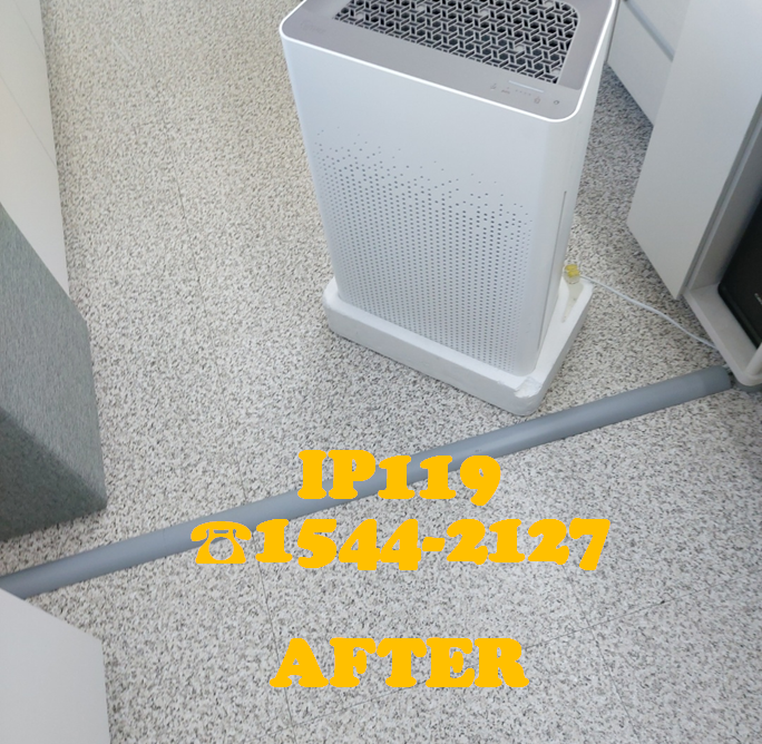 서울 강남구 2회선 랜선공사 현장!!
